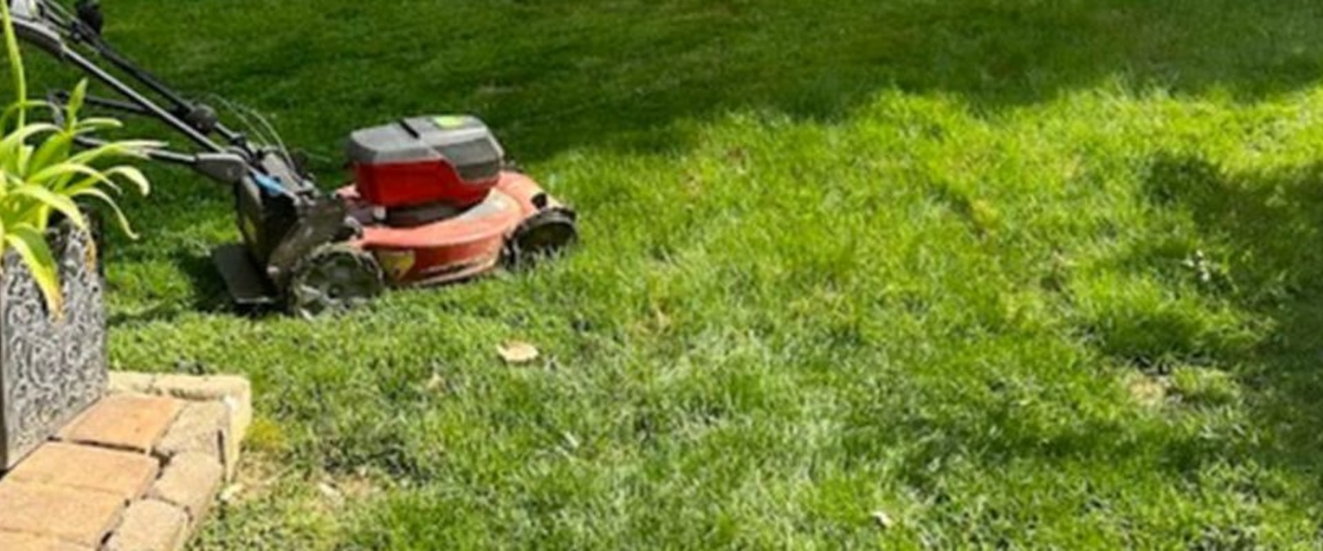 Eco-Friendly Landscaping Services: Sustainable Solutions for Greener Lawns