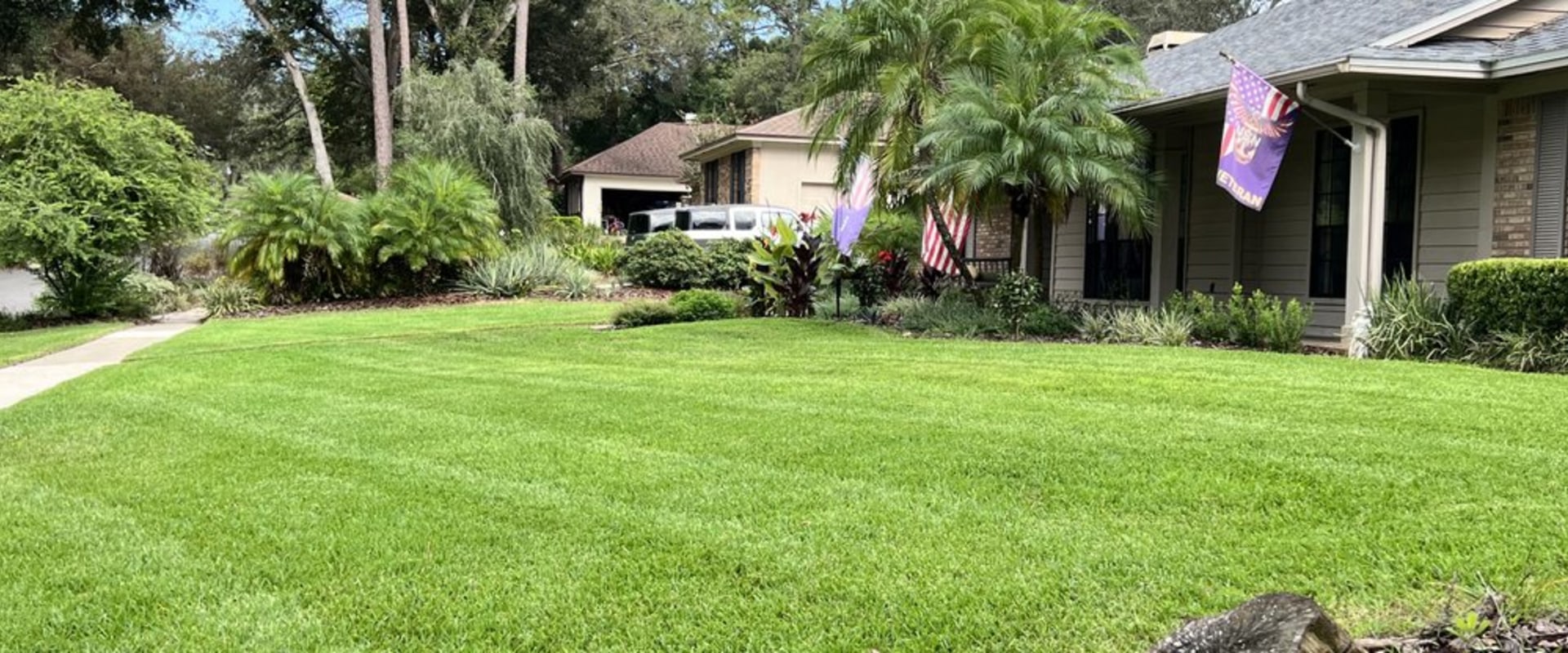 Landscape Contractors In Longwood: Why Timely Pest Exterminator Services Prevent Costly Rework