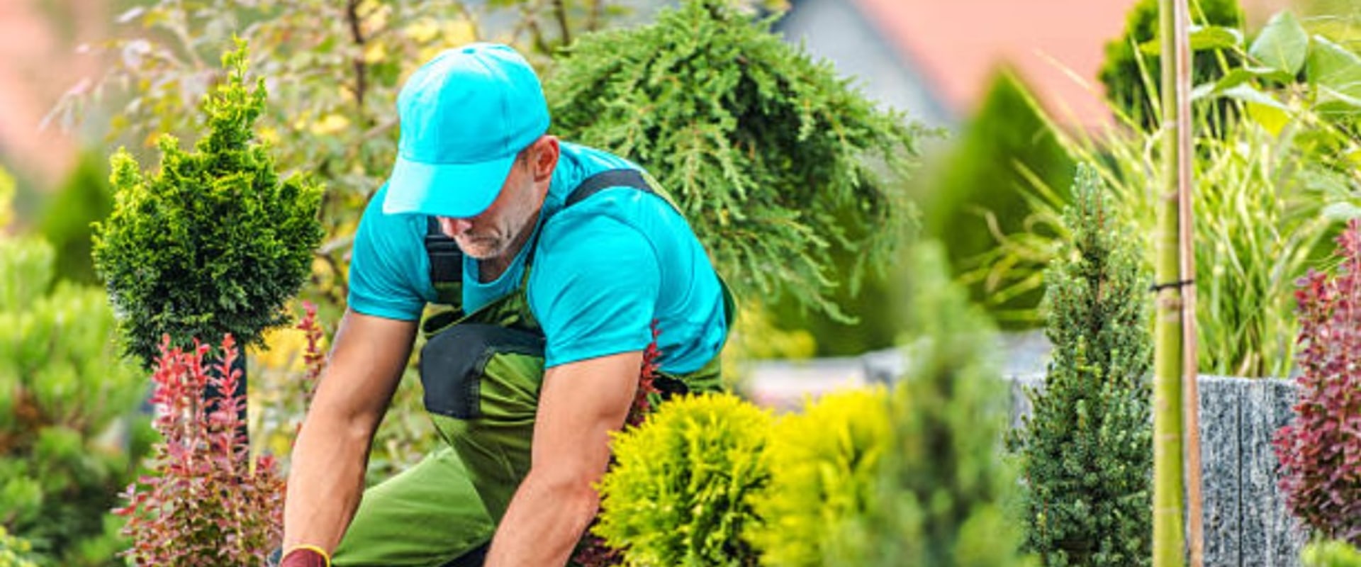 Enhance Your Home with Expert Landscaping and Roof Repairs