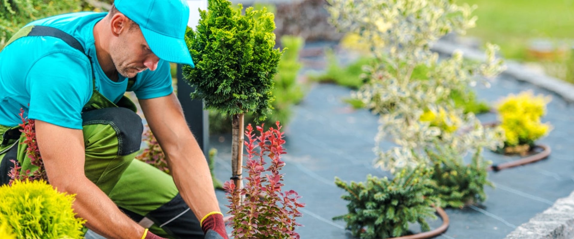 Categorizing Landscaping Expenses: A Guide for Landscapers