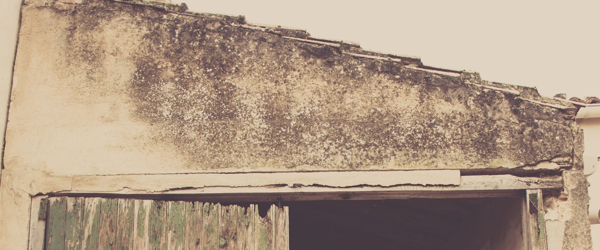 Elevate Curb Appeal with Expert Garage Doors & Landscaping