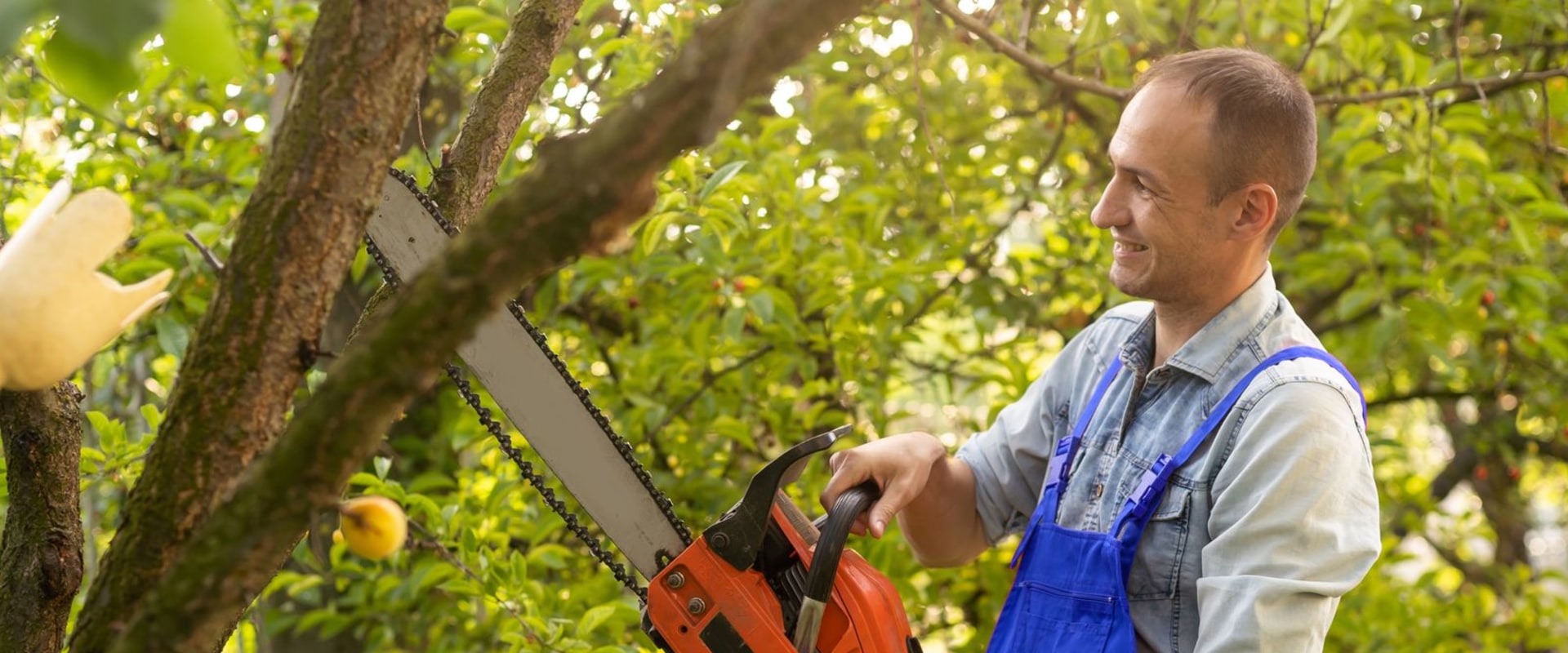 Why Tree Removal Should Be Left To Professional Landscape Contractors In Groveland, MA