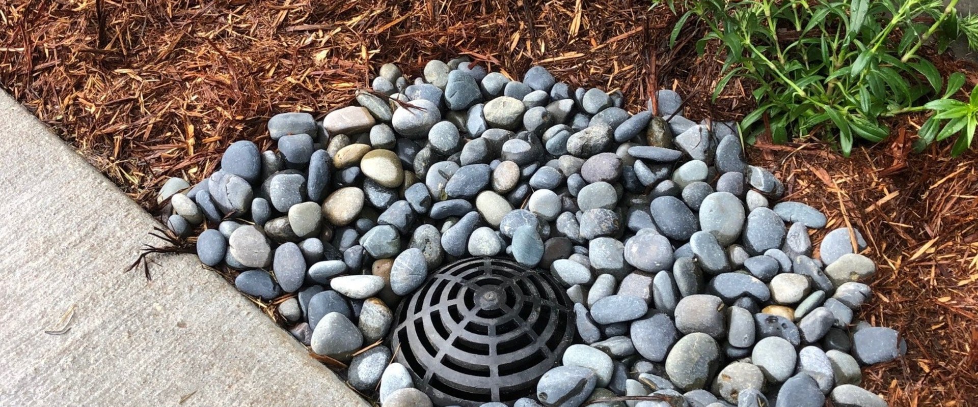 Why Landscape Contractors Focus on Preventing Water Issues Around Properties