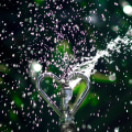 Ensure Your Sprinkler System is Ready Before Hiring Landscape Contractors