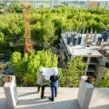 Why Landscape Contractors Are Increasingly Involved in Sustainable Property Management Strategies