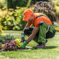 After The Landscape Contractor Leaves: Let The Professionals Handle The Lawn Mowing In Orange Park, FL