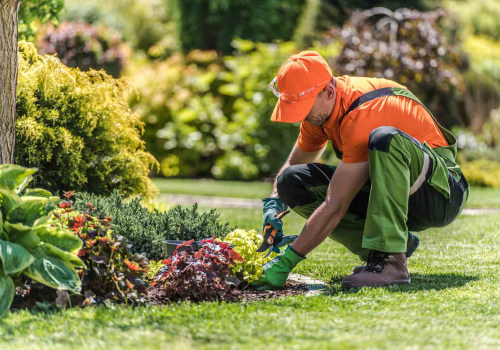 After The Landscape Contractor Leaves: Let The Professionals Handle The Lawn Mowing In Orange Park, FL