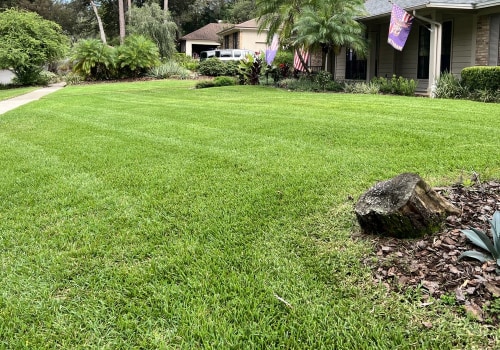 Landscape Contractors In Longwood: Why Timely Pest Exterminator Services Prevent Costly Rework