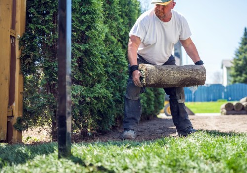 What Equipment Do Landscape Contractors Need to Get Started?