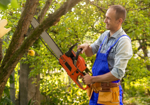 Why Tree Removal Should Be Left To Professional Landscape Contractors In Groveland, MA