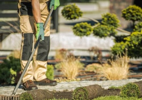 What Kind of Maintenance Do Landscape Contractors Provide?