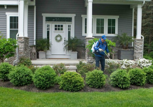How Landscape Contractors Enhance Yards While Supporting Pest Management